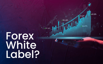What is Forex White Label?